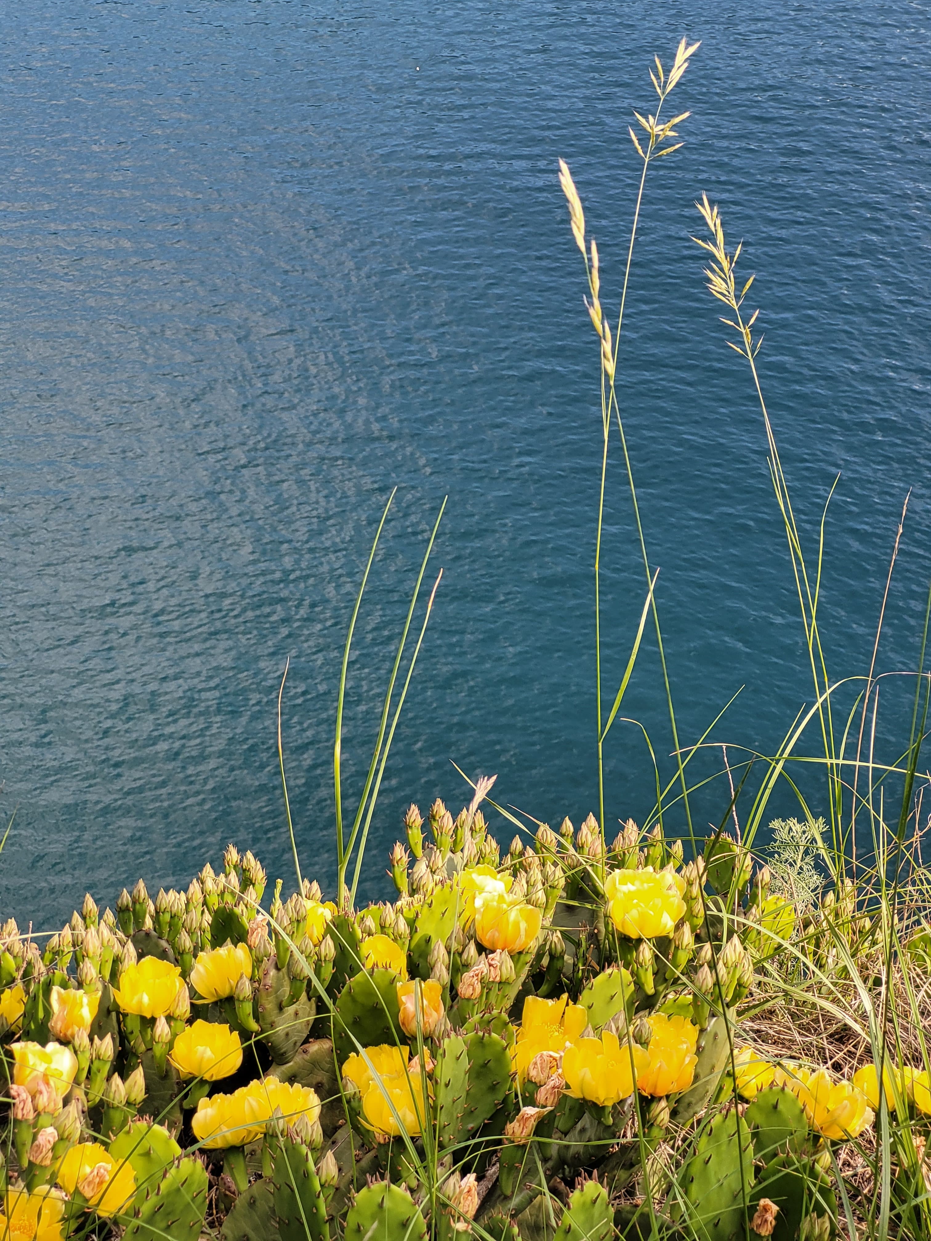 Outdoor experiences near Dal Nonno